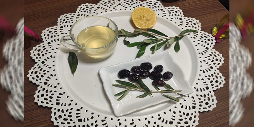 Kainat eczanesinden zeytin yaprağı koronavirüse karşı antibiyotik gibi