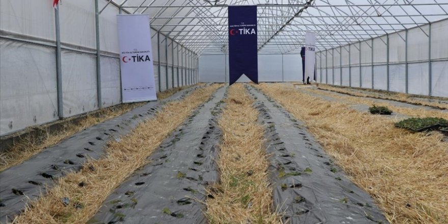 TİKA Gürcistan'daki bir sosyal merkezde 2 sera kurdu