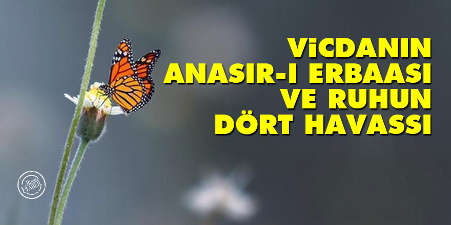 Bediüzzaman: Vicdanın anasır-ı erbaası ve ruhun dört havassı