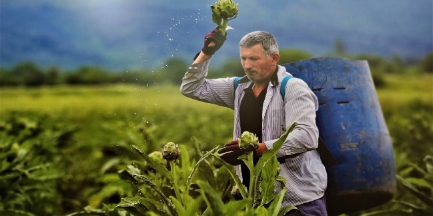 Nilüfer'in tarım arazileri mercek altında