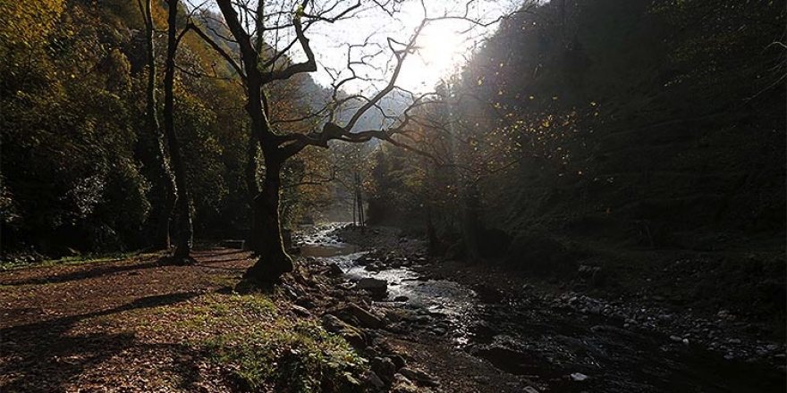 Osmanlı döneminden kalma 'maden alanı' turizme kazandırılıyor