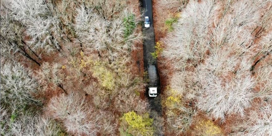Belgrad Ormanı'nda renk cümbüşü