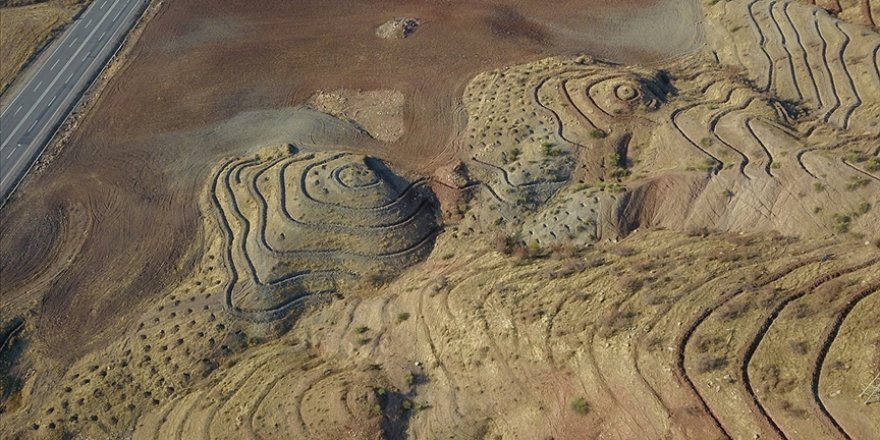 Siirt'te 'sanat eseri titizliğinde' bal ormanı oluşturuldu
