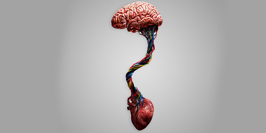 Vicdan, kalbte değil beyinde