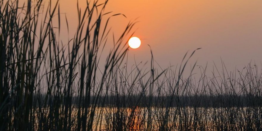 Mezopotamya’nın saklı güzelliği: Bataklıklar