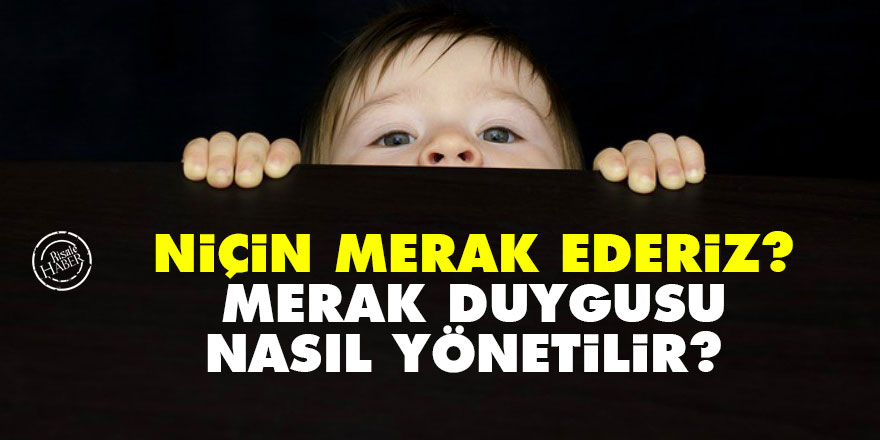 Niçin merak ederiz? Merak duygusu nasıl yönetilir?