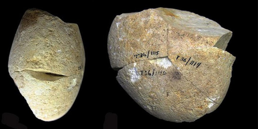 Bilim insanlarından insanlık tarihini değiştirecek keşif