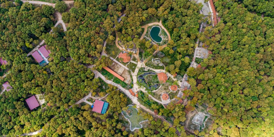 Avrupa'nın en büyük doğal yaşam parkı 5 milyon ziyaretçiyi ağırladı