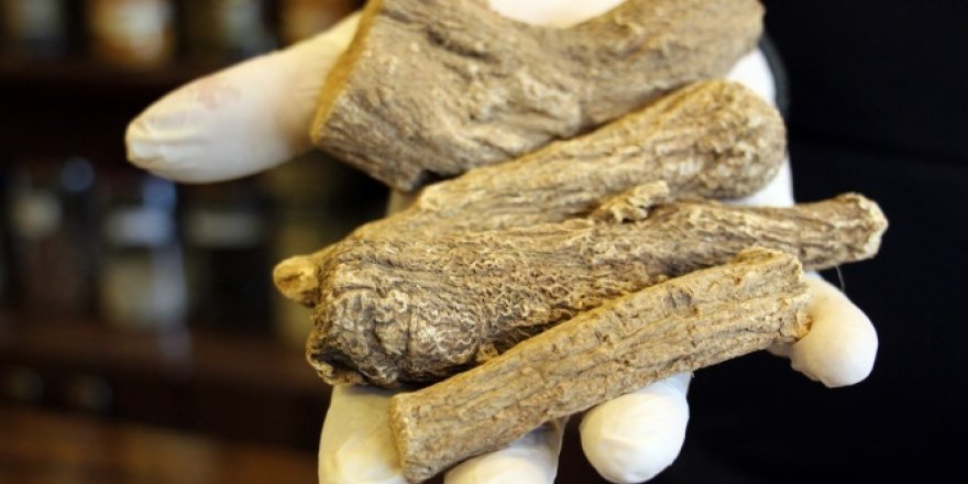 ‘Udi Hindi' bitkisinin satışları pandemiyle birlikte 400 kat arttı