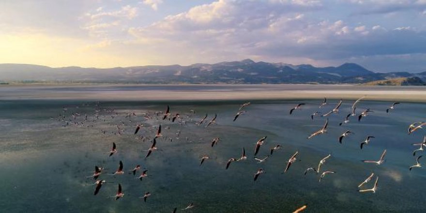 Yarışlı Gölü'nün hayran bıraktığı görüntüleri Vali Arslantaş paylaştı