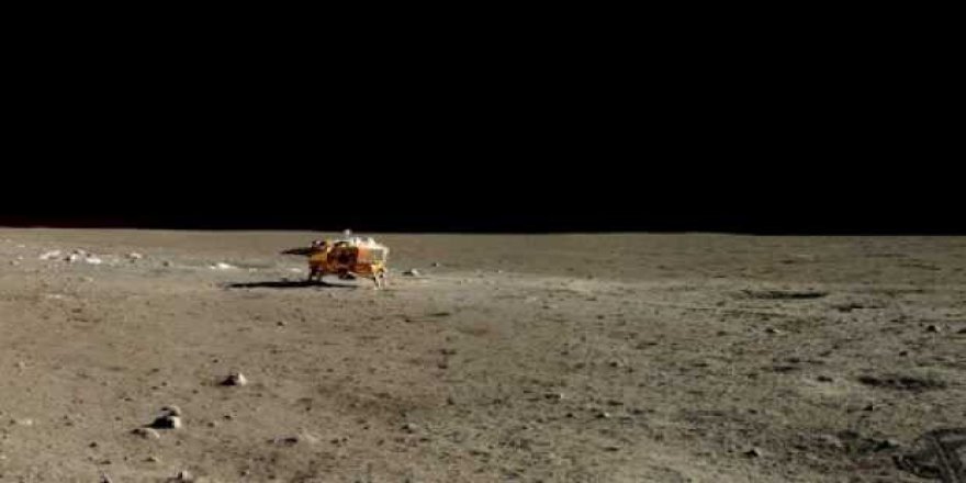 Ay’dan getirilen pirinçler filizlenmeye başladı