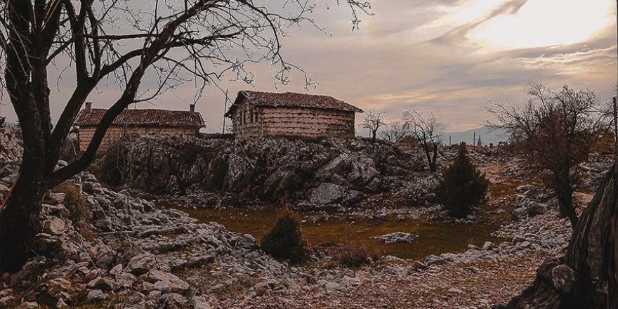Yıllara meydan okuyan tarihi 'düğmeli evler' restorasyonla ayağa kaldırılıyor
