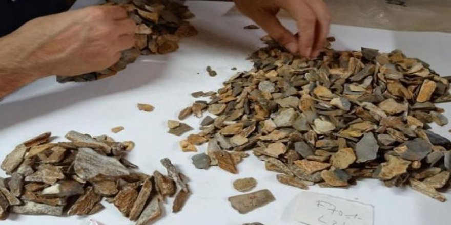 Fransa’da arkeolojik kazıdan 41 bin yıllık Neandertal kalıntısı çıktı