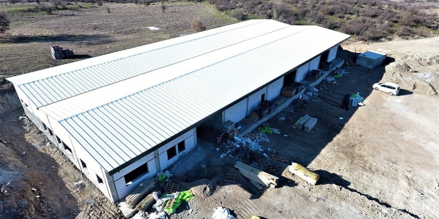 Sındırgı'da günlük 10 ton meyve ve sebze jeotermal enerjiyle kurutulacak