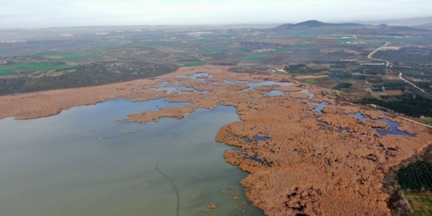 2600 yıllık geçmişi olan Uluabat Gölü'nde kuraklık tehlikesi