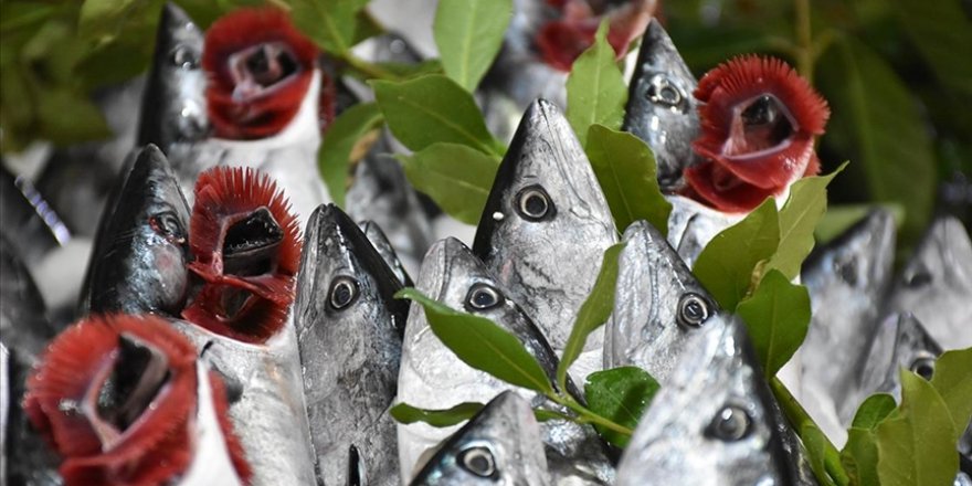 Samsun'dan yıllık 20 milyon dolarlık balık ihraç ediliyor