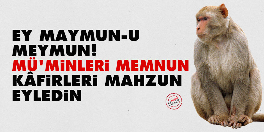 Bediüzzaman: Ey maymun-u meymun! Mü'minleri memnun, kâfirleri mahzun eyledin
