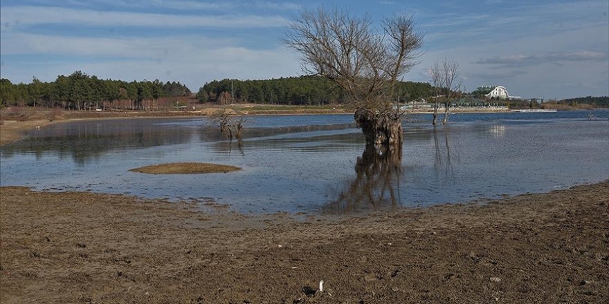 Bilecik'teki Pelitözü Göleti'nde yağış azlığı nedeniyle sular 30 metre çekildi