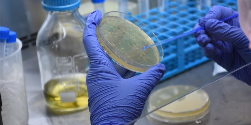 Bilim insanlarına göre mRNA aşıları Kovid-19'a karşı uzun süreli koruma sağlayabilecek