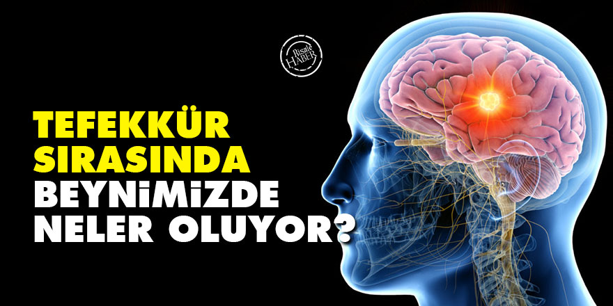 Tefekkür sırasında beynimizde neler oluyor?