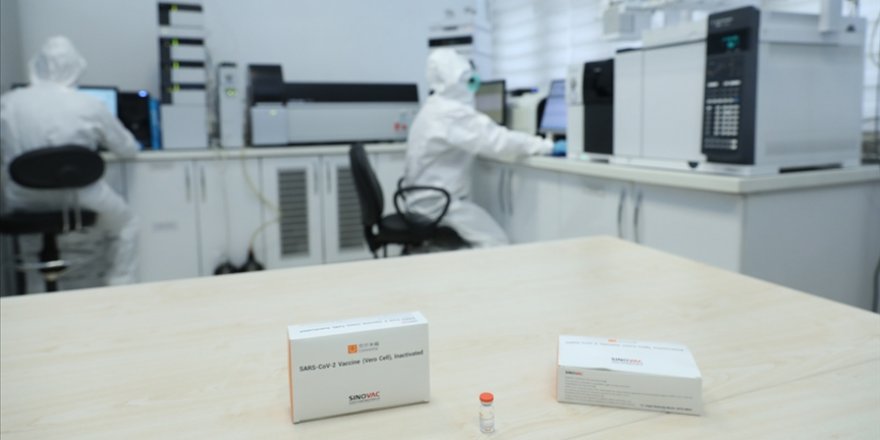 Türkiye'ye getirilen 6,5 milyon doz CoronaVac aşısı iki haftalık analiz sürecinden geçecek