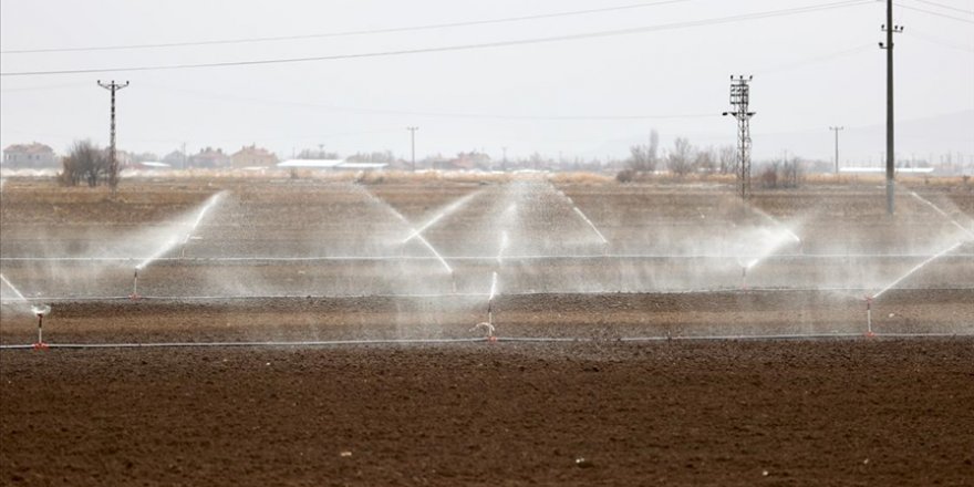 Türkiye'nin 'tahıl ambarında' kuraklık nedeniyle çiftçiler sulamaya kış ortasında başladı