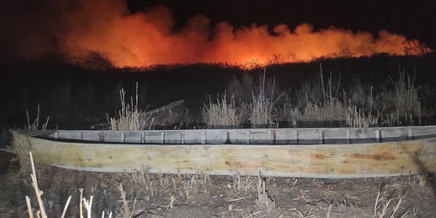 Eber Gölü'nde çıkan yangında yaklaşık 8 bin dekar kamışlık alan zarar gördü