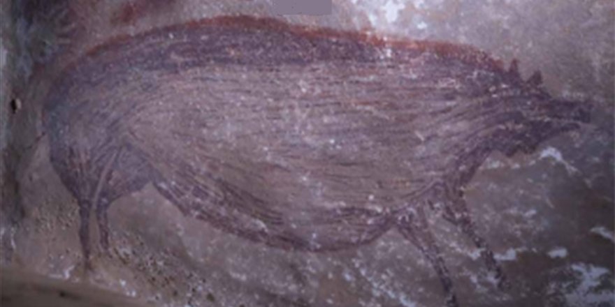 Mağaraya çizilmiş en eski hayvan resmi Endonezya'da bulundu