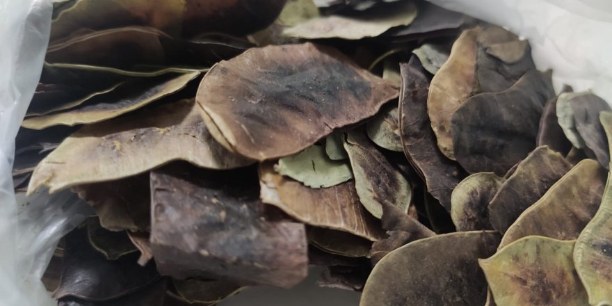 Hızlı zayıflamak isterken sağlığınızdan olmayın