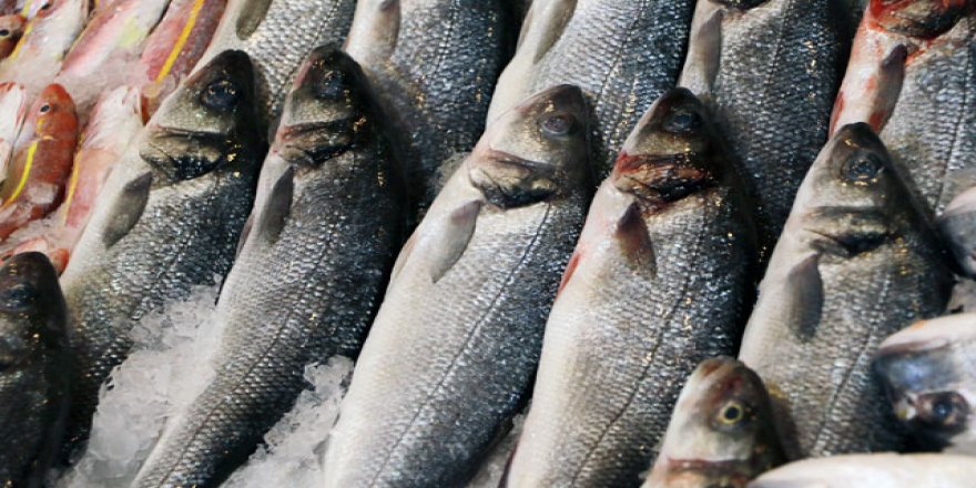 Balıkta boya ve ağırlık hilesi