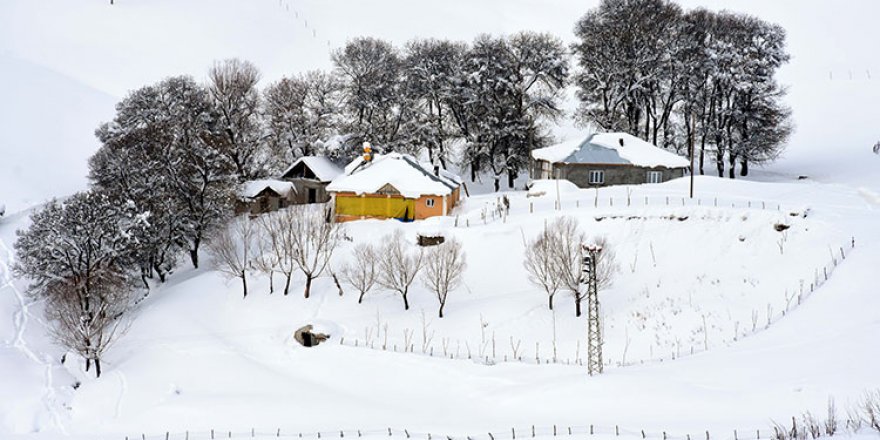Muş'un yüksek kesimlerindeki tek katlı evler kara gömüldü