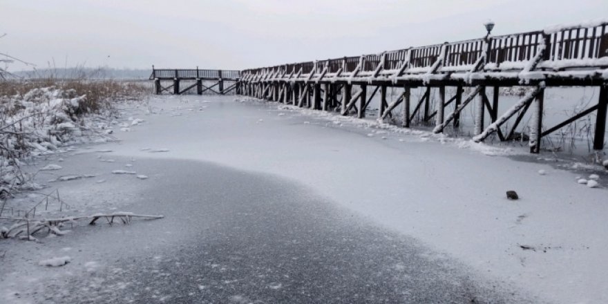 Sıcaklığın eksi 16'ya düştüğü Düzce'de Efteni Gölü buz tuttu
