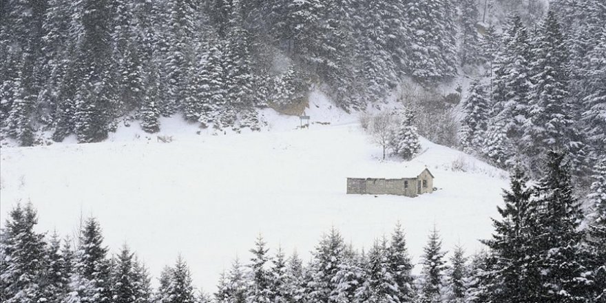 Tarihi İpek Yolu'ndaki Zigana Dağı'nda kış güzelliği yaşanıyor