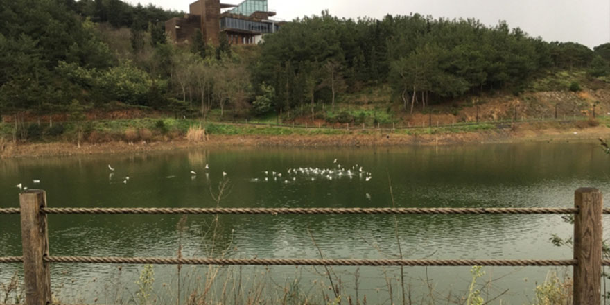 Kuraklık ve israfa karşı tedbir: Yağmur hasadı ve gri su kullanımı