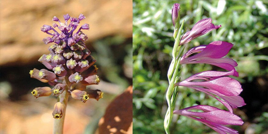Anadolu’nun yeni güzellikleri