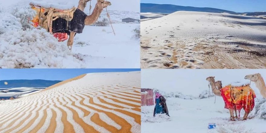 Sahra Çölü'ne son 42 yılda 4. kez kar yağdırıldı
