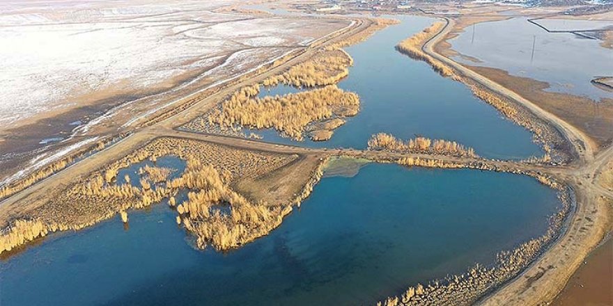 'Türkiye'nin çatısı' kış göçmeni misafirlerini ağırlıyor