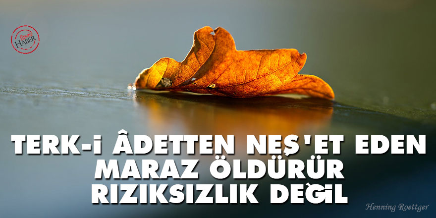 Bediüzzaman: Terk-i âdetten neş'et eden maraz öldürür, rızıksızlık değil