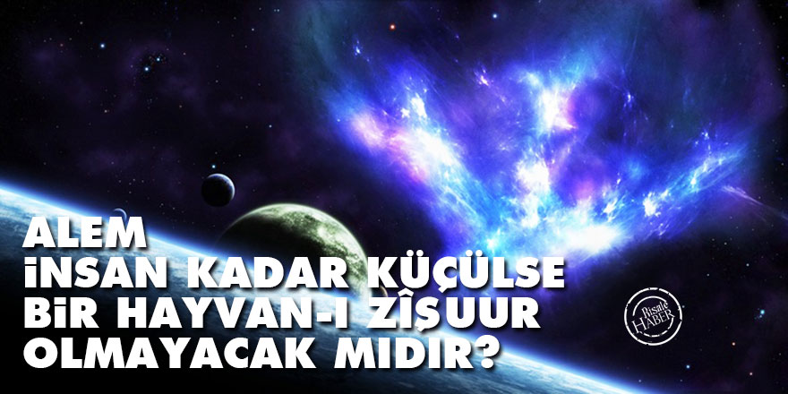 Bediüzzaman: Alem insan kadar küçülse bir hayvan-ı zîşuur olmayacak mıdır?