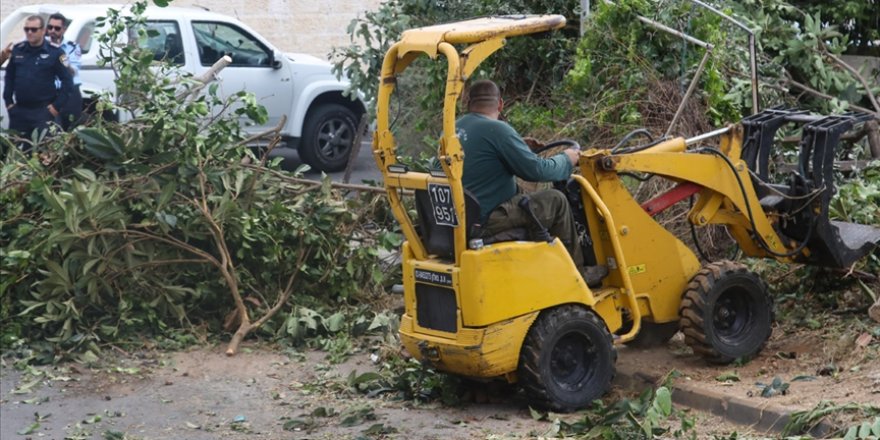 İsrail askerleri Batı Şeria’daki ormanlık alanda binlerce ağaca zarar verdi