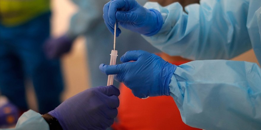 Avusturya'da Türk bilim insanı Kovid-19'un mutasyona uğramış türünü belirleyen hızlı test geliştirdi