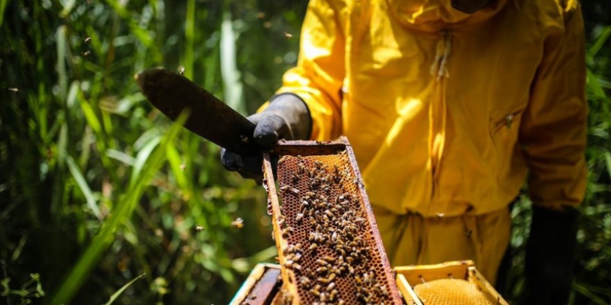 Gıda güvenliği tüm dünyada en önemli problemlerin başında gelecek