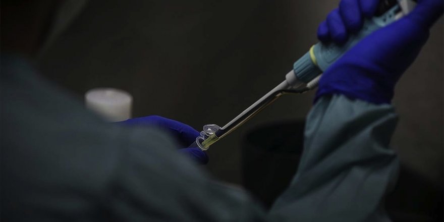 Kovid-19 ilacının yerli sentezi milyonlarca dolarlık ilaç ithalatının önüne geçti