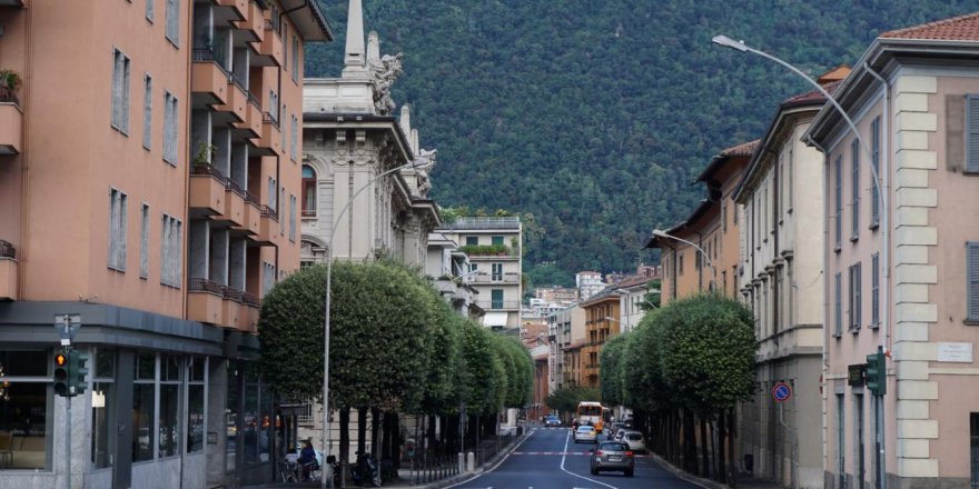 Eve yakın ağaçlar depresyon ve akıl sağlığına iyi geliyor