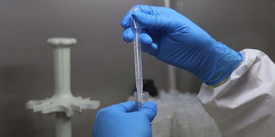 Uzmanlara göre yeni tehlike mutasyonlu Kovid-19 virüsü