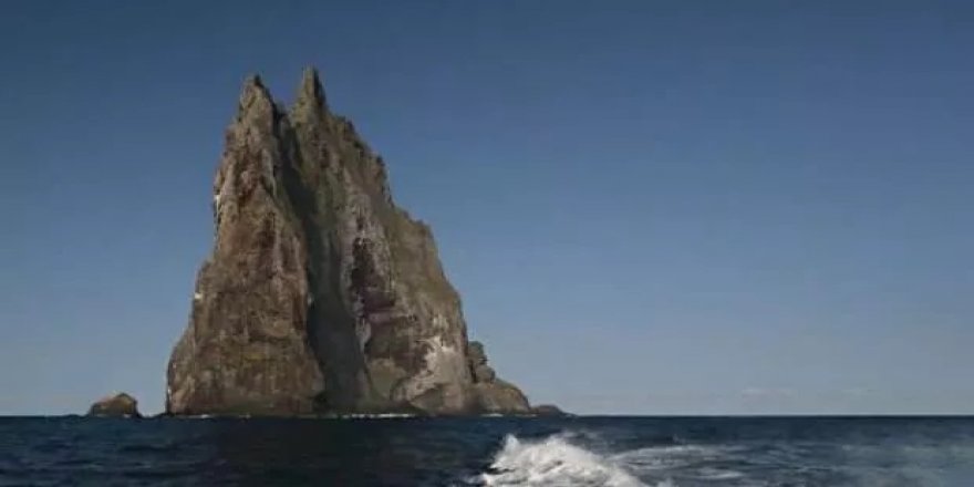 Dünyanın kayıp 8. kıtası Zelandiya'nın şekli gün yüzüne çıktı