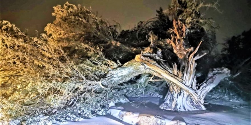 500 yıl sonra pes etti