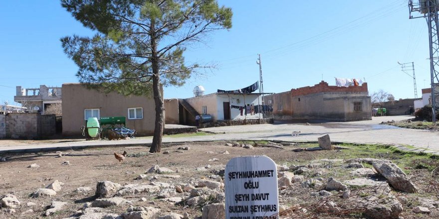 Şeyh Davut türbesinden geriye mezar taşı kaldı