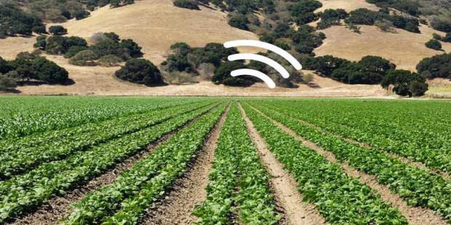 Ispanaklar mayınları tespit ederek e-posta gönderiyor