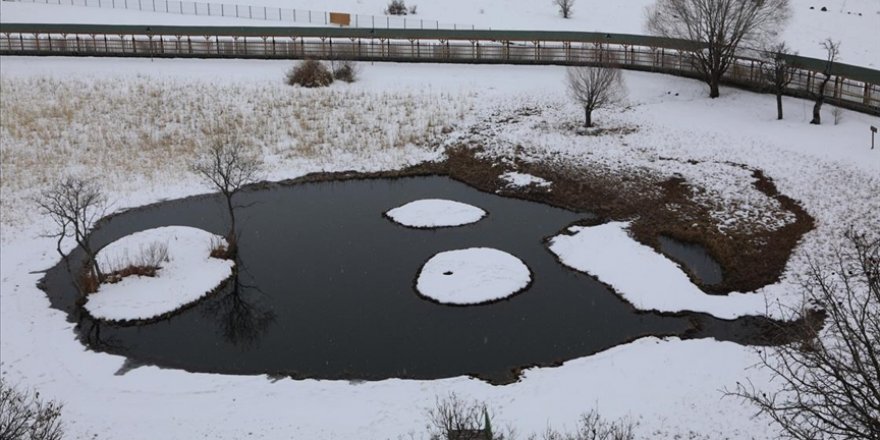 Bingöl'ün 'yüzen adaları' kışın fotoğrafçıların ve gezginlerin gözdesi